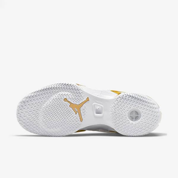 Men's Nike Air Jordan XXXVI SE Glory Jordan Shoes White / Black / Royal / Metal Gold | NK761MPL