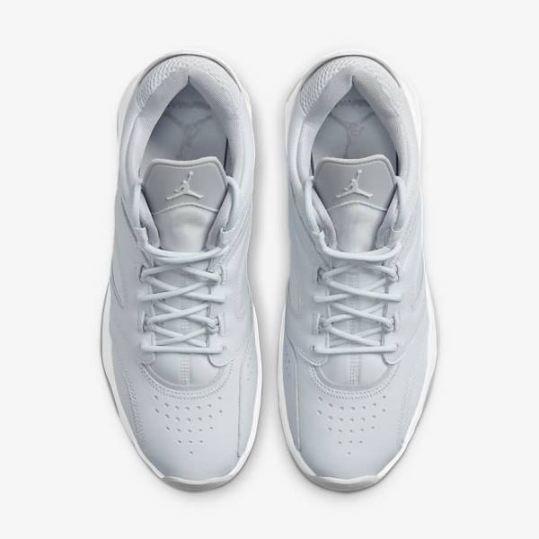 Men's Nike Jordan Point Lane Jordan Shoes Platinum / White / Grey | NK504RQB