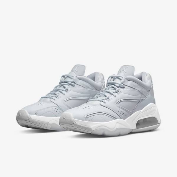 Men's Nike Jordan Point Lane Jordan Shoes Platinum / White / Grey | NK504RQB