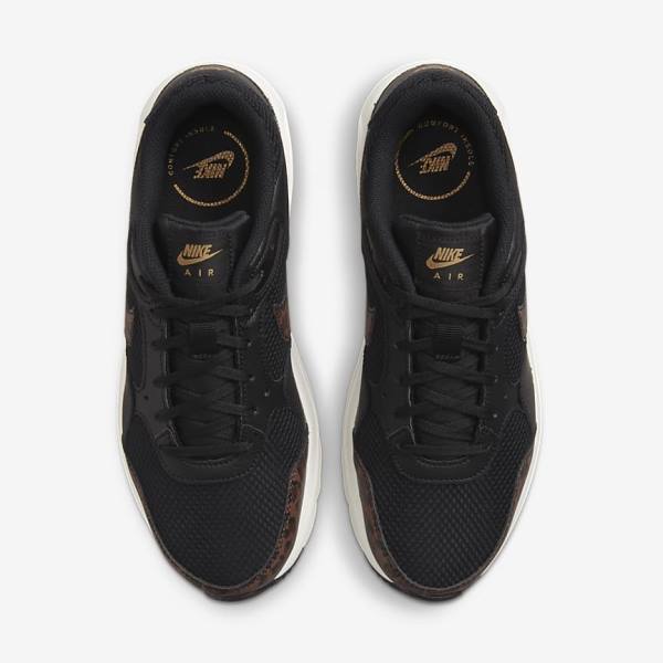 Women's Nike Air Max SC Sneakers Black / Metal Gold / Brown | NK846WHT