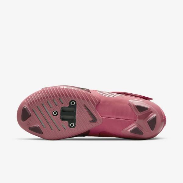 Women's Nike SuperRep Cycle Indoor Cycling Training Shoes Pink / Metal / Light Pink | NK847KRG