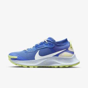 Women's Nike Pegasus Trail 3 GORE-TEX Waterproof Trail Running Shoes Blue / Brown / Grey | NK204TIA